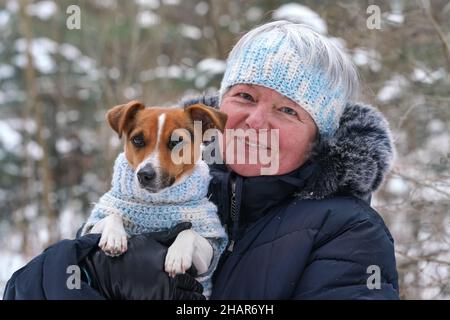 Ältere Frau, die einen kleinen Jack Russell Terrier Hund an den Händen hält, trägt einen passenden Strickpullover und ein Stirnband Stockfoto