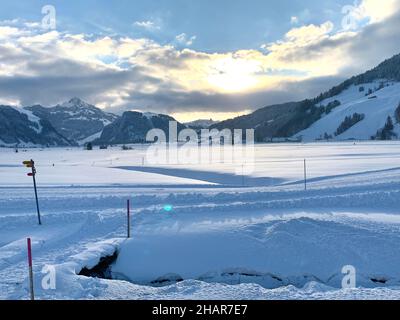 Winterlandschaft mit schneebedeckten Ästen. Der Bach, der in der Mitte fließt, ist teilweise gefroren und es gibt eine Schicht aus Schnee und Eis. Stockfoto