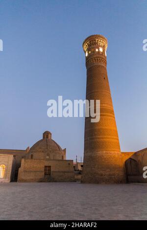 Abendansicht des Kalan Minaretts in Buchara, Usbekistan Stockfoto