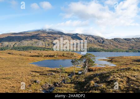 Mit Blick auf Loch Maree, Wester Ross, Ross-shire, Schottland Stockfoto