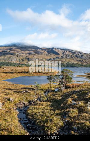 Mit Blick auf Loch Maree, Wester Ross, Ross-shire, Schottland Stockfoto