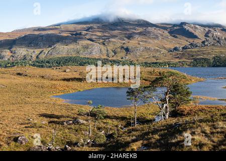 Mit Blick auf Loch Maree, Wester Ross, Ross-shire, Schottland Stockfoto