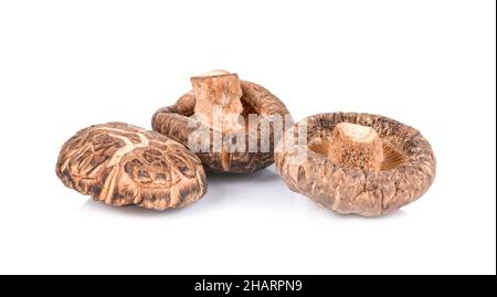 Trockene Shiitake-Pilze isoliert auf weißem Hintergrund Stockfoto