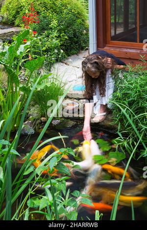 Eigenheimbesitzer Koi - Japanischer Karpfenfisch im Teich mit Zantedeschia - Calla Lily, Dichromena colorata - Weißes Sterngras, Ruellia in Nische. Stockfoto