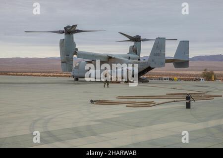 U.S. Marine Corps Bell Boeing MV-22B Osprey with Marine Operational Test and Evaluation Squadron One (VMX-1) wird mit Betankungsausrüstung auf dem strategischen Expeditionslandeplatz im Marine Corps Air Ground Combat Center, Twentynine Palms, Kalifornien, am 7. Dezember 2021 veranstaltet. VMX-1 unterstützt den Betrieb OBSIDIAN-EISBERG durch die Zuweisung von MV-22-Flugzeugen zur Unterstützung der Entwicklung von Taktiken, Techniken und Verfahren für die schlanke Nachfüllung von F-35B in einem expeditionären erweiterten Basisbetriebskonzept. (USA Marine Corps Foto von Lance CPL. Pedro Arroyo Junior) Stockfoto