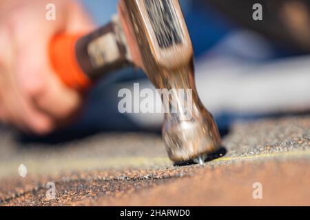 US-Marineinfanteristen und Poolees von der Recruiting Substation Arrowhead bauen am 11. Dezember 2021 freiwillig zwei Häuser in Phoenix, Arizona. Die Marineinfanteristen und Poolees halfen Habitat for Humanity, vor den Feiertagen den weniger Glücklichen in der lokalen Gemeinde zu helfen. (USA Marine Corps Foto von CPL. Brennan J. Beauton) Stockfoto