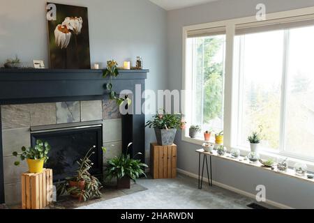 Ein Wohnzimmer voller Zimmerpflanzen, ein Kamin und ein großes Fenster. Stockfoto