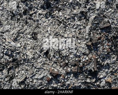 Grau mit braunen und weißen abstrakten Linien auf schwarzer Oberfläche, die Asche des verbrannten Baumes, Textur für Text oder Grafikdesign Stockfoto