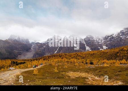 Wanderer genießen die goldenen Lärchen im Lärchental nahe Lake Louise mit dem Tal der zehn Zinnen im Hintergrund. Der beliebte Wanderweg i Stockfoto