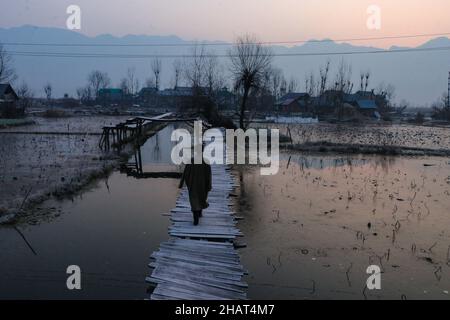 Srinagar, Jammu und Kaschmir, Indien. 15th Dez 2021. Ein Mann geht am 15. Dezember 2021 an einem kalten Wintermorgen in Srinagar auf einem frostbedeckten Holzsteg. Alle Wetterstationen in Kaschmir erlebten letzte Nacht Temperaturen unter dem Gefrierpunkt, während Srinagar -2,6 Â C aufzeichnete In den Nächten wurden in Kaschmir am Dienstag für den 10th. Tag weiterhin Temperaturen unter dem Gefrierpunkt erreicht, wobei das Quecksilber im Skigebiet Gulmarg im Norden Kaschmirs auf - 5,6 Â C abtaute. Quelle: Adil Abbas/ZUMA Wire/Alamy Live News Stockfoto