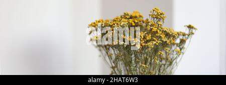 Gelb getrocknete Statice Blüten in einer Vase Stockfoto