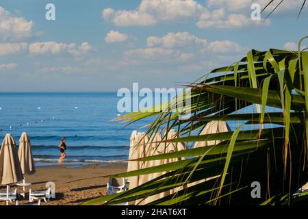 Blick auf den Strand auf der Antalya-Seite, Blick auf den Strand und das Meer durch die Blätter der Zwergpalme Stockfoto