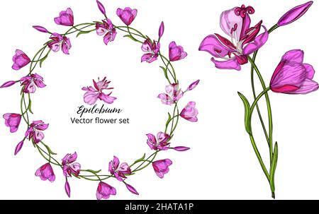 Vektor-Blumen-Set, mit rosa zarten Blüten Stock Vektor