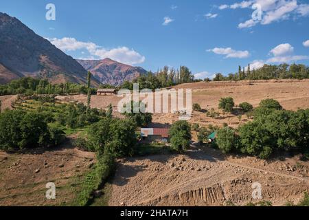 Ein bescheidener Bauernhof auf einem steilen Hügel während des trockenen Sommers. Im Gebiet des Charvak-Sees in der Nähe von Taschkent, Usbekistan. Stockfoto