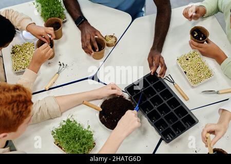 Draufsicht Nahaufnahme von Kindern, die Samen Pflanzen, während sie im Biologieunterricht in der Schule experimentieren Stockfoto