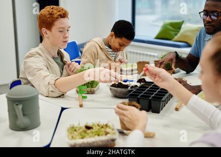 Verschiedene Gruppe von Kindern, die Samen Pflanzen, während sie während des Biologieunterschurs in der Schule experimentieren Stockfoto