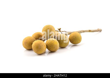 Frisches Obst longan isoliert auf weißem Hintergrund Stockfoto