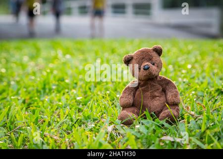 Braune Bärenpuppe sitzt allein auf dem Rasen Hintergrund Stockfoto