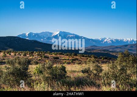 Der Canigou Berg vom Wanderweg von Cases-de-Pena nach Tautavel aus gesehen. . Stockfoto