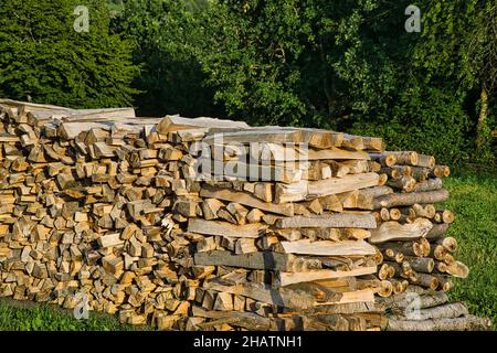 Gestapelte Holzhaine auf einer Wiese. Fertig für die Lieferung von Karmin und Ofen. Erneuerbare Energie aus natürlichen Rohstoffen Stockfoto