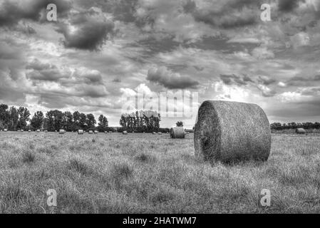 Unheimliche Landschaft von Heuhaufen auf einem landwirtschaftlichen Feld an einem bewölkten Tag, Graustufenaufnahme Stockfoto