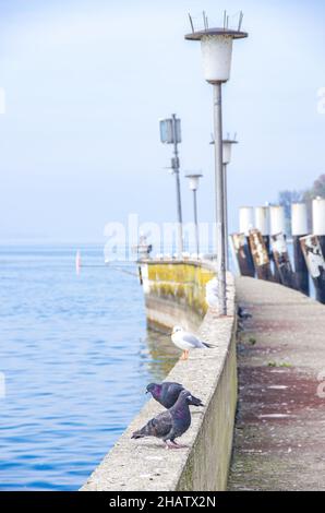 Pier und Fährhafen, Meersburg am Bodensee, Baden-Württemberg, Deutschland. Stockfoto