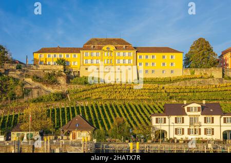 Bundesländer Weingut Meersburg am Bodensee, Baden-Württemberg, Deutschland. Stockfoto