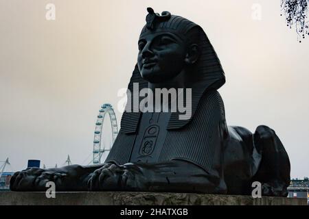 London, Großbritannien; 16th 2011. März: Sphinx-Statue auf der Nadel von Cleopatra bei Sonnenuntergang, mit dem London Eye im Hintergrund. Stockfoto