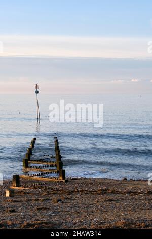 An einem ruhigen Wintertag sitzt ein Vogel auf einem Markierpfosten, um bei Sonnenuntergang eine groynes Seeverteidigung zu beenden. November 2021, Hunstanton Norfolk UK. Stockfoto