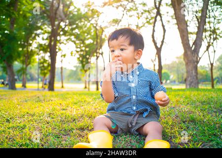 Liebenswert Kind junge sitzend inder Baum spielend Spielzeug im Sommer Park Sonnenuntergang Licht Stockfoto