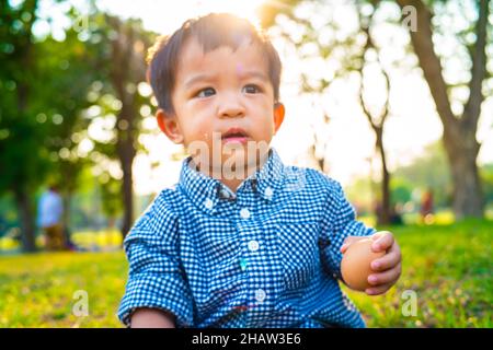 Liebenswert Kind junge sitzend inder Baum spielend Spielzeug im Sommer Park Sonnenuntergang Licht Stockfoto