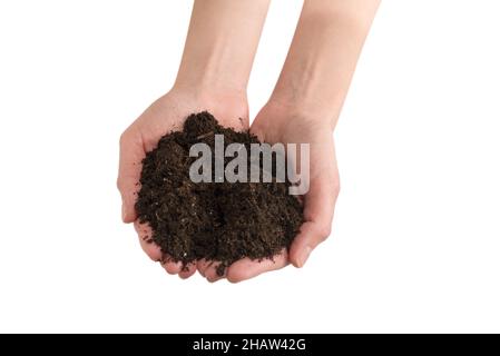 Brauner Boden in den Händen der Frau isoliert auf weißem Hintergrund. Stockfoto