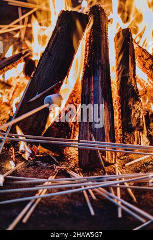 Die vertikale Aufnahme des Lagerfeuers und des Sumpfes auf dem hölzernen Stock Stockfoto