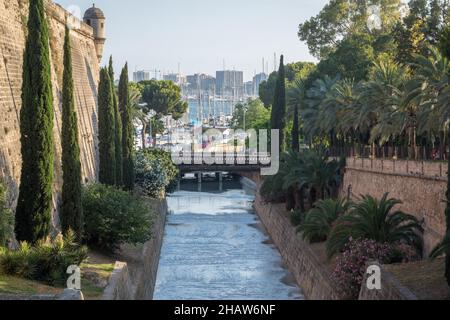 Torrente de la Riera Canal, Altstadt, Palma, Mallorca, Spanien Stockfoto