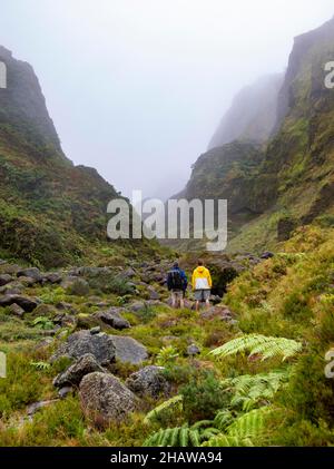 Wanderer im nebligen, wilden und romantischen Tal von Vale das Lombadas, Serra de Aqua de Pau, Sao Miguel Island, Azoren, Portugal Stockfoto