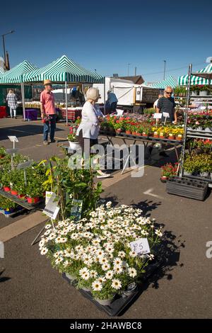 Großbritannien, England, Gloucestershire, Tewkesbury, Oldbury Road, Markt im Freien, Werksstand Stockfoto