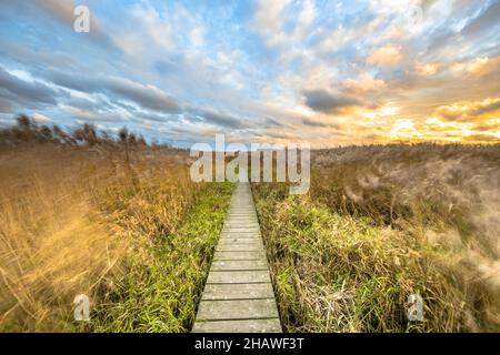 Holzsteg durch Salzwasser-Sumpfgebiet im Natura 2000-Gebiet Dollard, Provinz Groningen, Niederlande. Landschaftsaufnahme bei windigen Bedingungen im n Stockfoto