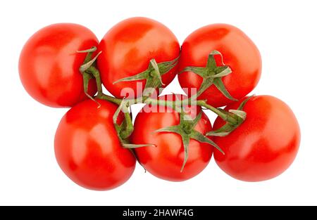 Tomate Zweig Pfad isoliert auf weißem Stockfoto