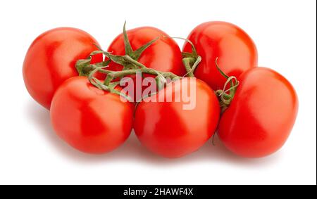 Tomate Zweig Pfad isoliert auf weißem Stockfoto