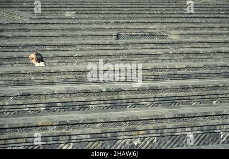 Menschen im Labyrinth des Alten Sommerpalastes oder Labyrinth in der Stadt Peking in China. China, Peking, Oktober 1997 Stockfoto