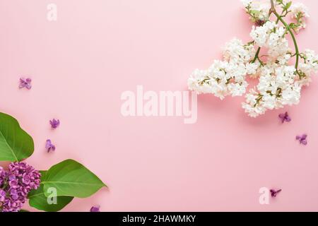 Bouquet von schönen weißen und lila Flieder, Geschenkbox und Herzen auf rosa Hintergrund. Draufsicht. Festliche Grußkarte mit Pfingstrose für Hochzeiten, Valentin Stockfoto