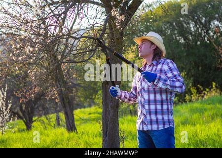 Gartenarbeit im Frühjahr. Landwirt beschneiden Obstbaum in kultivierten Obstgarten. Junger Gärtner mit Strohhut Schneidezweig. Stockfoto