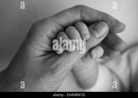 Das neugeborene Baby hat nach der Geburt einen festen Griff am Finger der Eltern. Stockfoto