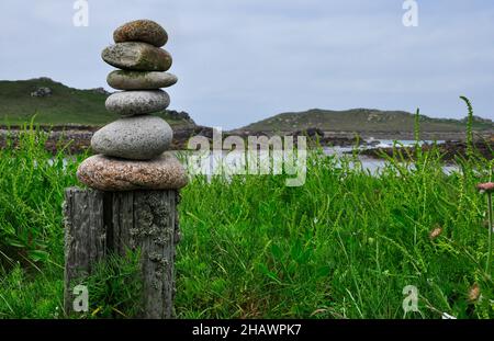 Kiessäule auf Moos bedeckten Holzpfosten in Sanddünen, bedeckt mit Meeresbeben (Beta maritima), in der Nähe des Meeres, mit der Insel Gweal in der Ferne, o Stockfoto