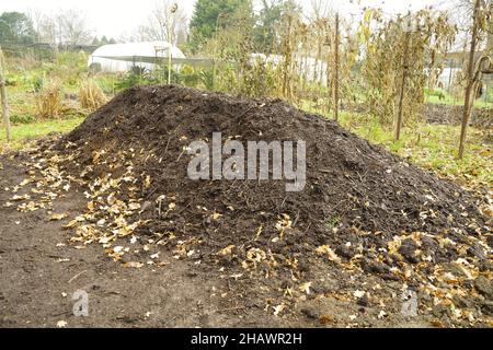 Grüner Abfall Kompost auf einer Zuteilung. Stockfoto
