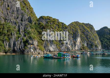 Schwimmendes Fischerdorf an der Halong Bay, Nordvietnam im Golf von Tonkin. Die Menschen praktizieren Aquakultur (Fischzucht) und traditionelle Fischerei. Stockfoto