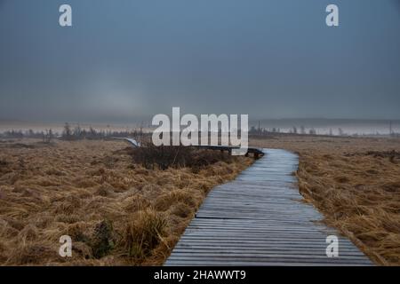 Holzwege führen durch die Moorlandschaft im Naturschutzgebiet „High Fens“ in Belgien Stockfoto