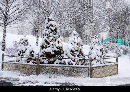 Drei weihnachtliche schneebedeckte Bäume schmücken den Park Stockfoto