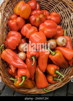 Bild mit geringer Schärfentiefe (selektiver Fokus) mit einem Korb gefüllt mit frischen Paprika aus biologischem Anbau zum Verkauf auf einem Markt im Freien in Bukarest, Romani Stockfoto