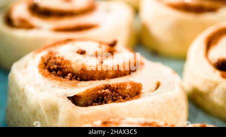 Ungebackene Zimtbrötchen in einer blauen Backform. Stockfoto